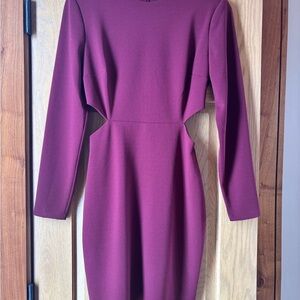 Express Rich Burgundy Long Sleeve Dress